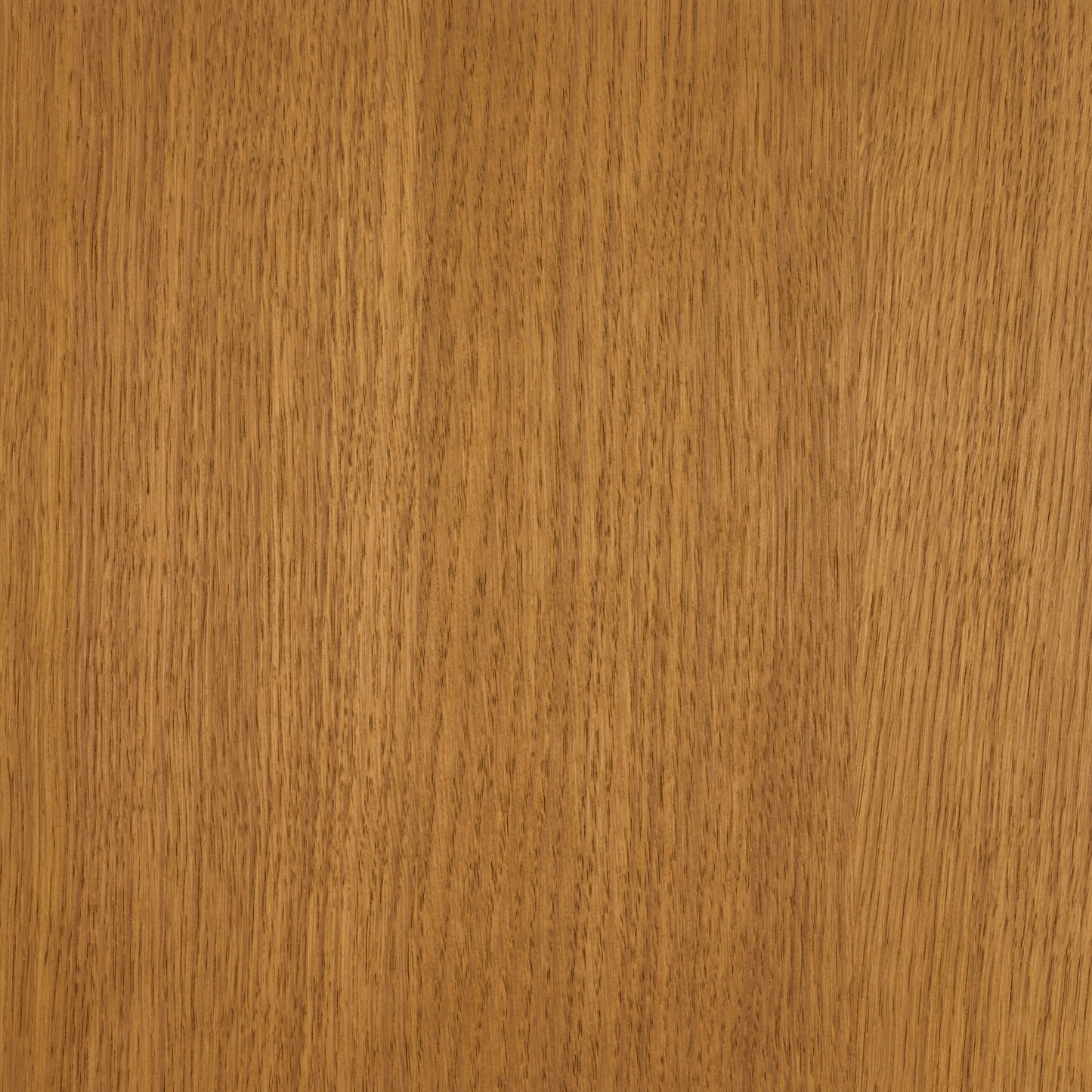 Oil Plus 2C 300 ml (A Component)