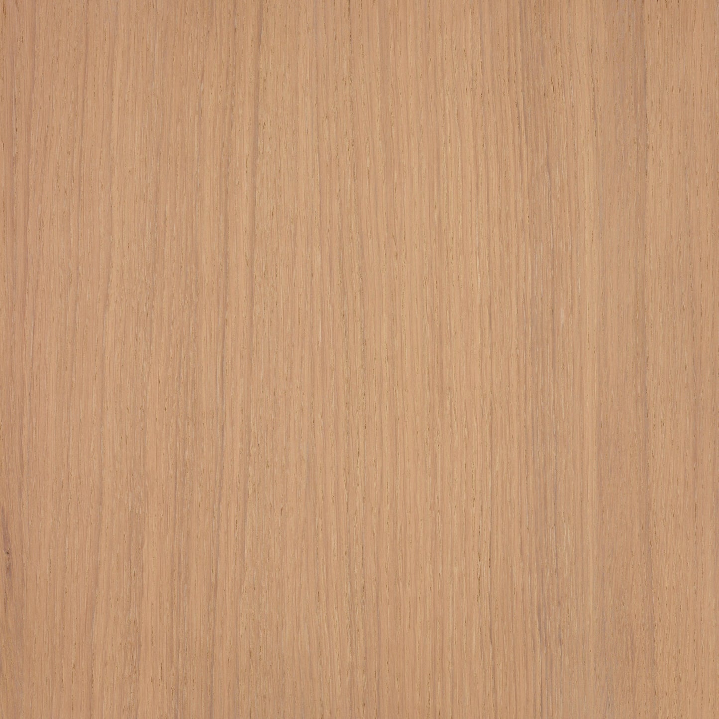 Oil Plus 2C 300 ml (A Component)