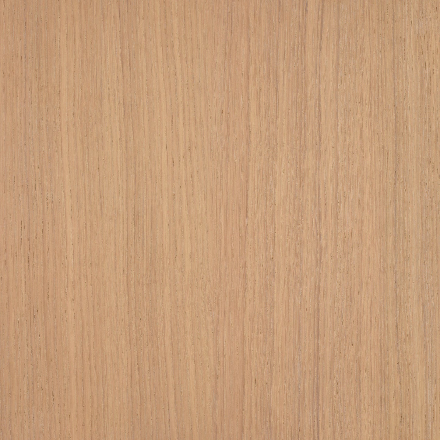 Oil Plus 2C 300 ml (A Component)