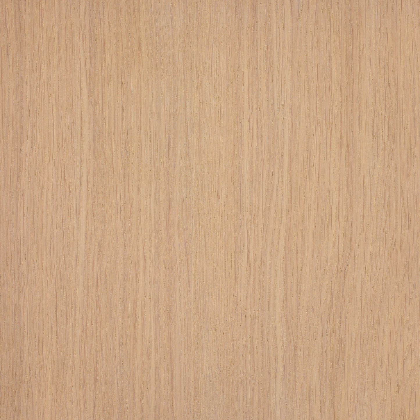 Oil Plus 2C 300 ml (A Component)